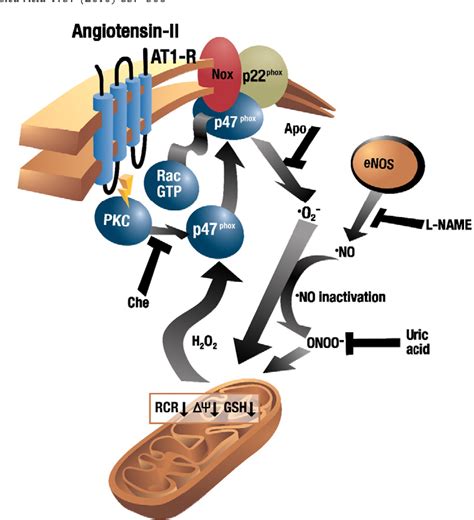 Figure From Redox Signaling Cross Talk From And To Mitochondria