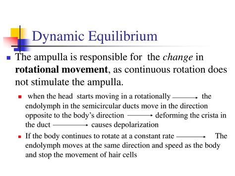 Ppt Equilibrium I And Ii Powerpoint Presentation Id 307330