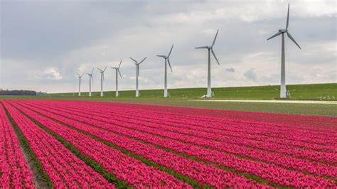 Renewable Energy Hyrdo Wind Solar Power Produced By Each State