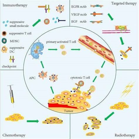 Emerging Agents And Regimens For Cancer Therapy