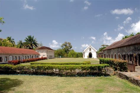 Discover Martinique for its History and Culture