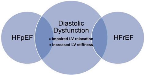 Diastolic Dysfunction Definition Causes Symptoms Diagnosis And Treatment