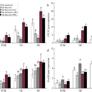 Effects Of Exogenous Aba And Aba Inhibitor On The Relative Expression