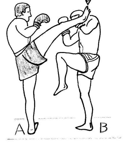 Muay Tha Les Techniques De La Boxe Tha Avec Illustrations Muay