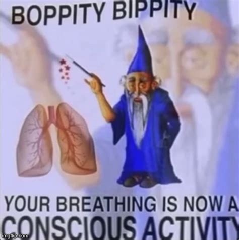 Boppity Bippity Imgflip