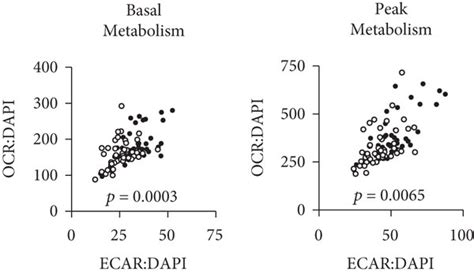 Effect Of Gw On Glycolytic Metabolism Glycolytic Gene