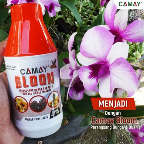 Ready Stok Patian Baja Bloom And Growth Camay Penggalak Akar Bunga Dan