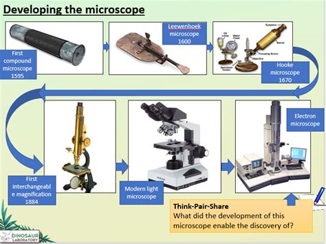 Timeline Of Microscope