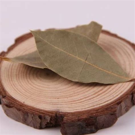 Laurel Bay Leaf Lazada Ph