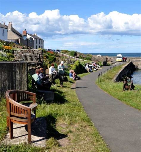 Craster Harbour | Places to see, Places to visit, Happy travels