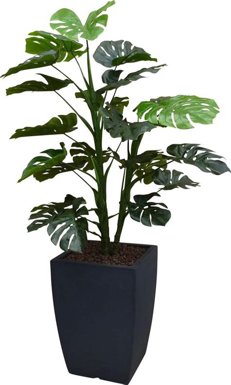 Htt Kunstplant Monstera In Genesis Vierkant Antraciet H Cm Bol