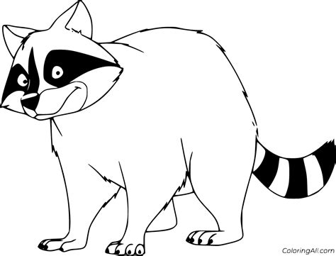 How To Draw A Realistic Raccoon