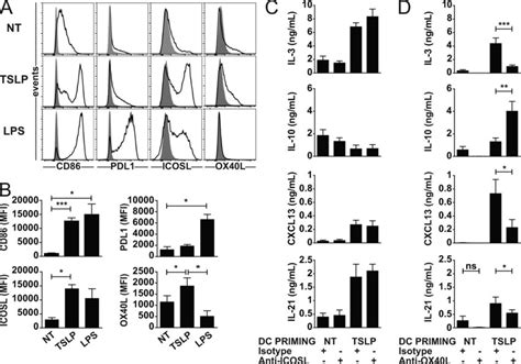 Tslp Dc Induce Il 21 And Cxcl13 Production Through Ox40l A Facs