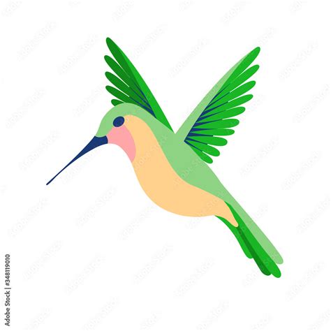 Hummingbird Images Clip Art Sincovaga Br Clip Art Library