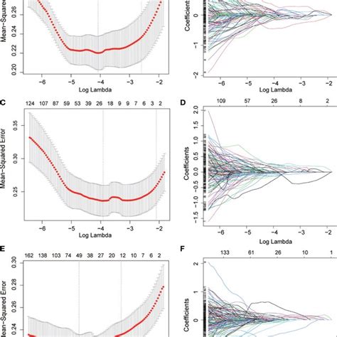 Radiomics Features Screened Using The Lasso Regression Model A C E