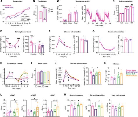 Hypothalamic Astrocytic Bmal1 Regulates Energy Homeostasis In A Sex