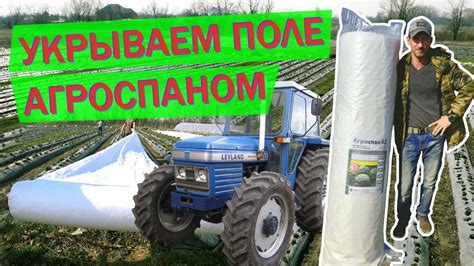 Агроспан и ранний урожай - YouTube