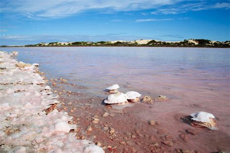 Point Sinclair Pink Lake Stock Image Image Of Scenery 271081725