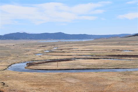 Find Your Dream Stream On Colorados South Platte River Game And Fish
