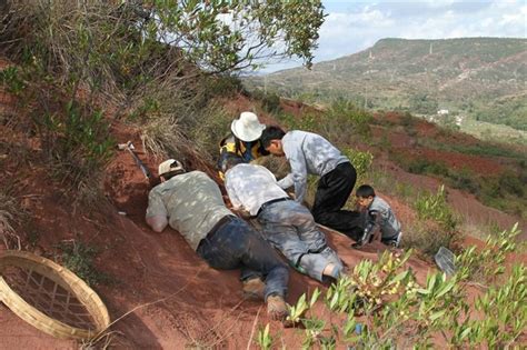 190m Year Old Bones Shed Light On Dino Growth National Globalnewsca