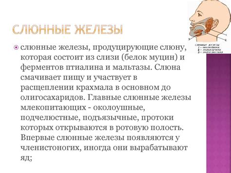 Пищеварительные железы - online presentation