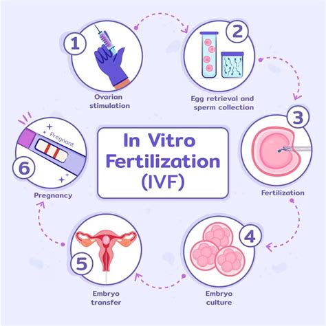 A Guide To The Steps Involved In The IVF Process - Ritu IVF