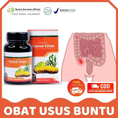 Jual Obat Herbal Usus Buntu Kram Perut Luka Di Usus Obat Radang