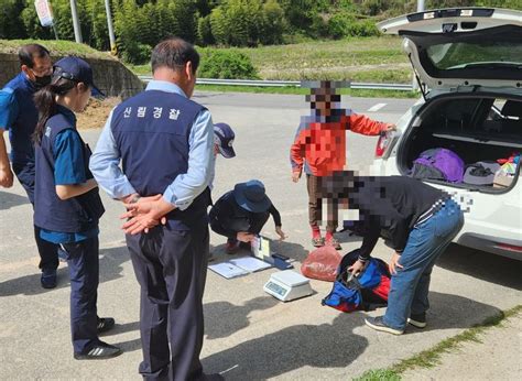 남부산림청 산림 내 불법행위자 32명 입건 네이트 뉴스