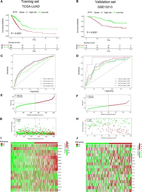 Frontiers Comprehensive Analysis Of The Cuproptosis Related Model To