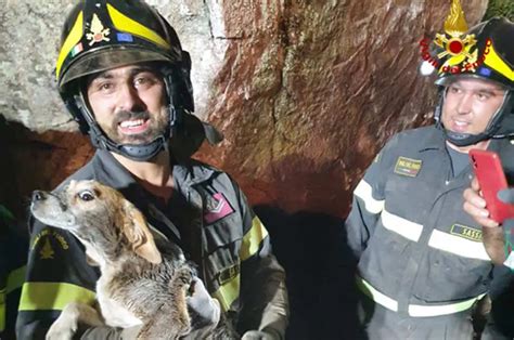 Cane Cade In Un Pozzo Salvato Dai Vigili Del Fuoco