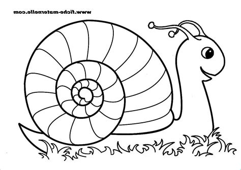 Beau De Escargot A Colorier Stock Coloriage