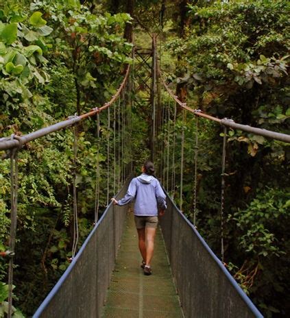 A Woman Walking Across A Suspension Bridge In The Jungle