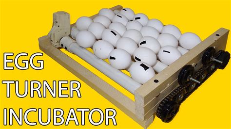 Incubator Egg Turner Automatic Egg Turner How To Make Egg Turner Youtube