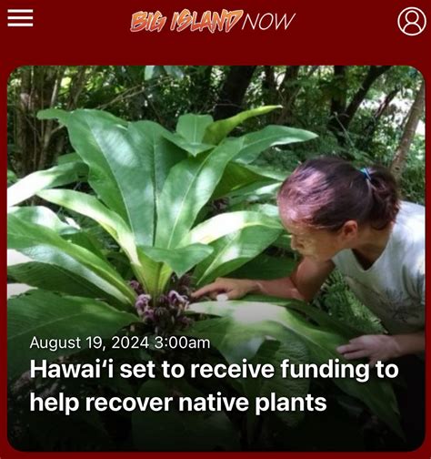 The Untold Story of Anonib Hawaii: You Have to Read This. - twiii53