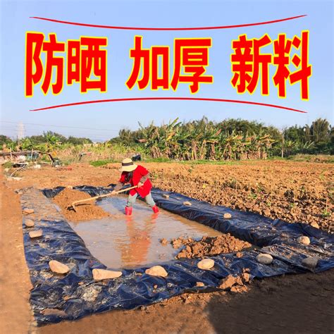 鱼塘防渗膜鱼池防水布黑色防水膜蓄水池护坡hdpe土工膜防水塑料布虎窝淘