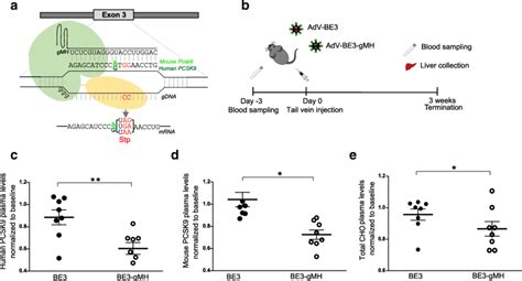 Base Editor Mediated In Vivo Knock Out Of Human Pcsk And Mouse Pcsk