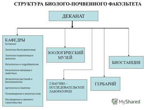 Чем кафедра отличается от факультета