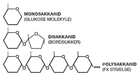 Opbygning Af Kulhydrater Og Kostfibre