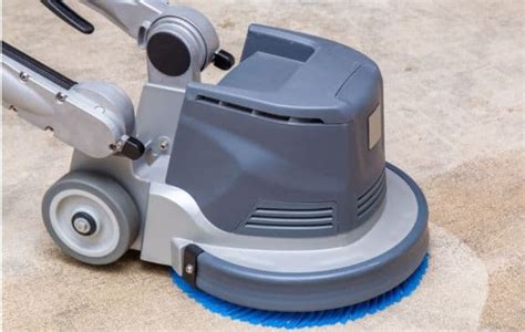 Steam Cleaning Carpets vs. Shampooing: Differences | Steam Cleaner Pro