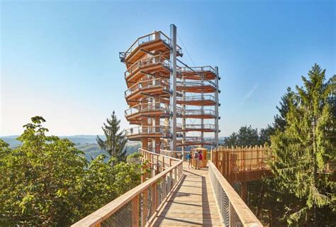 Chemin Des Cimes Saarschleife Randonner Parmi Les Cimes Des Arbres