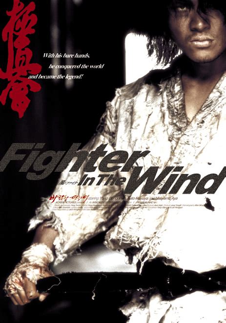 Fighter in the Wind (2004) Review | cityonfire.com