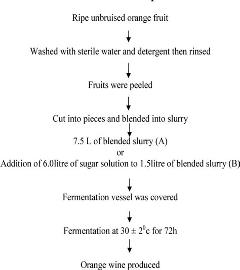 Flow Diagram For Wine Making How Red Wine Is Made Step By St