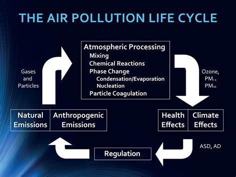 Effects Of Air Pollution On Environment