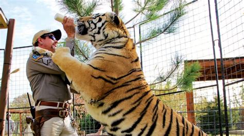 'Tiger King' Zoo Permanently Closed, New Park Will Become Production ...