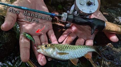 Casting Ikan Tengas Menggunakan Gewang Handmade Mus Wild Stream