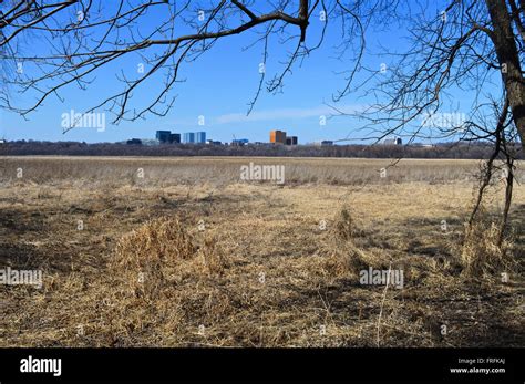 Wetland Background Hi Res Stock Photography And Images Alamy
