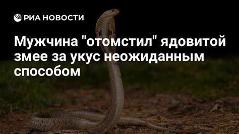 Мужчина "отомстил" ядовитой змее за укус неожиданным способом - РИА ...