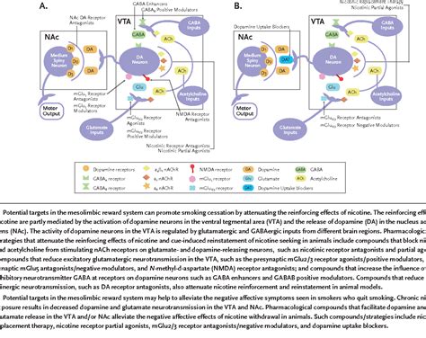 Figure 2 From Neuronal Mechanisms Underlying Development Of Nicotine