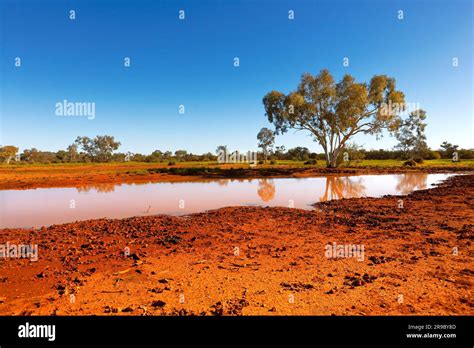 Billabong In Australian Outback Midwest Western Australia Stock Photo