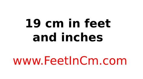 19 cm in Feet and Inches - 19 cm in Ft. and In.